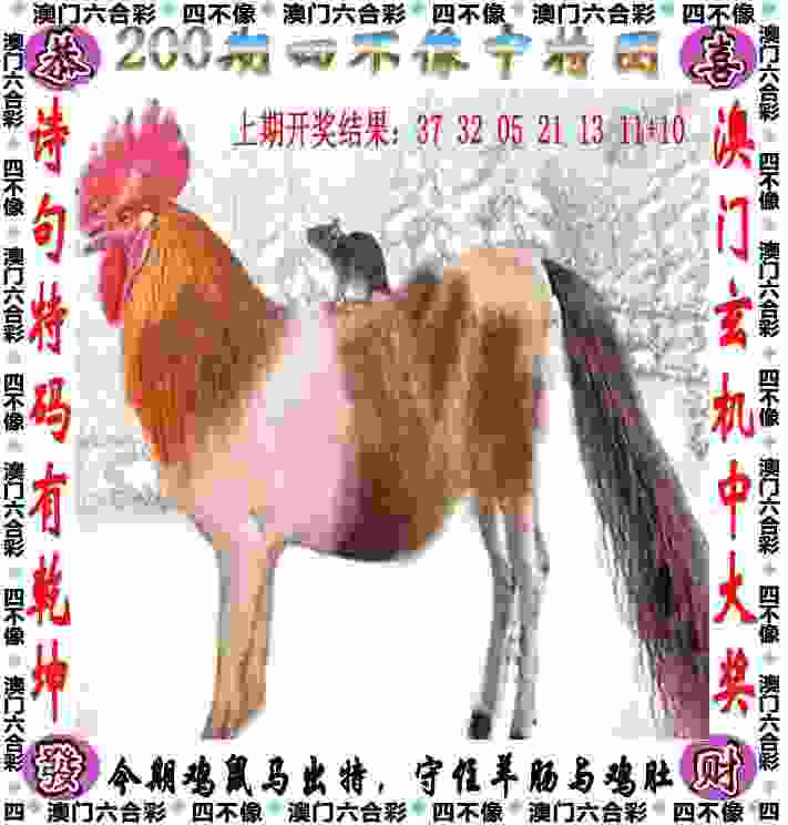 女篮亚洲杯｜综合：韩国队“绝杀”新西兰队 澳大利亚、日本队两连胜